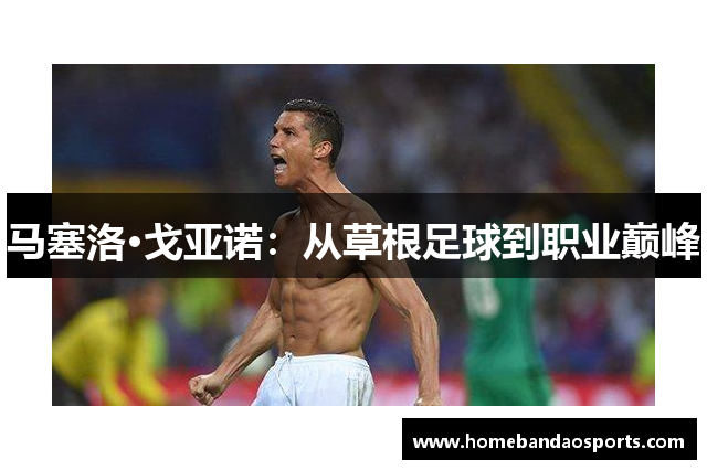 马塞洛·戈亚诺：从草根足球到职业巅峰