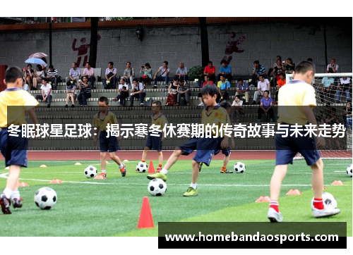 冬眠球星足球：揭示寒冬休赛期的传奇故事与未来走势